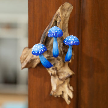Enchanted Mushroom