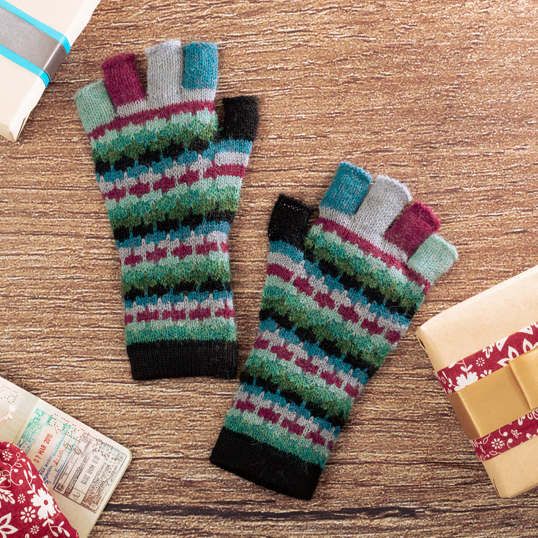 Magenta Colorful Life