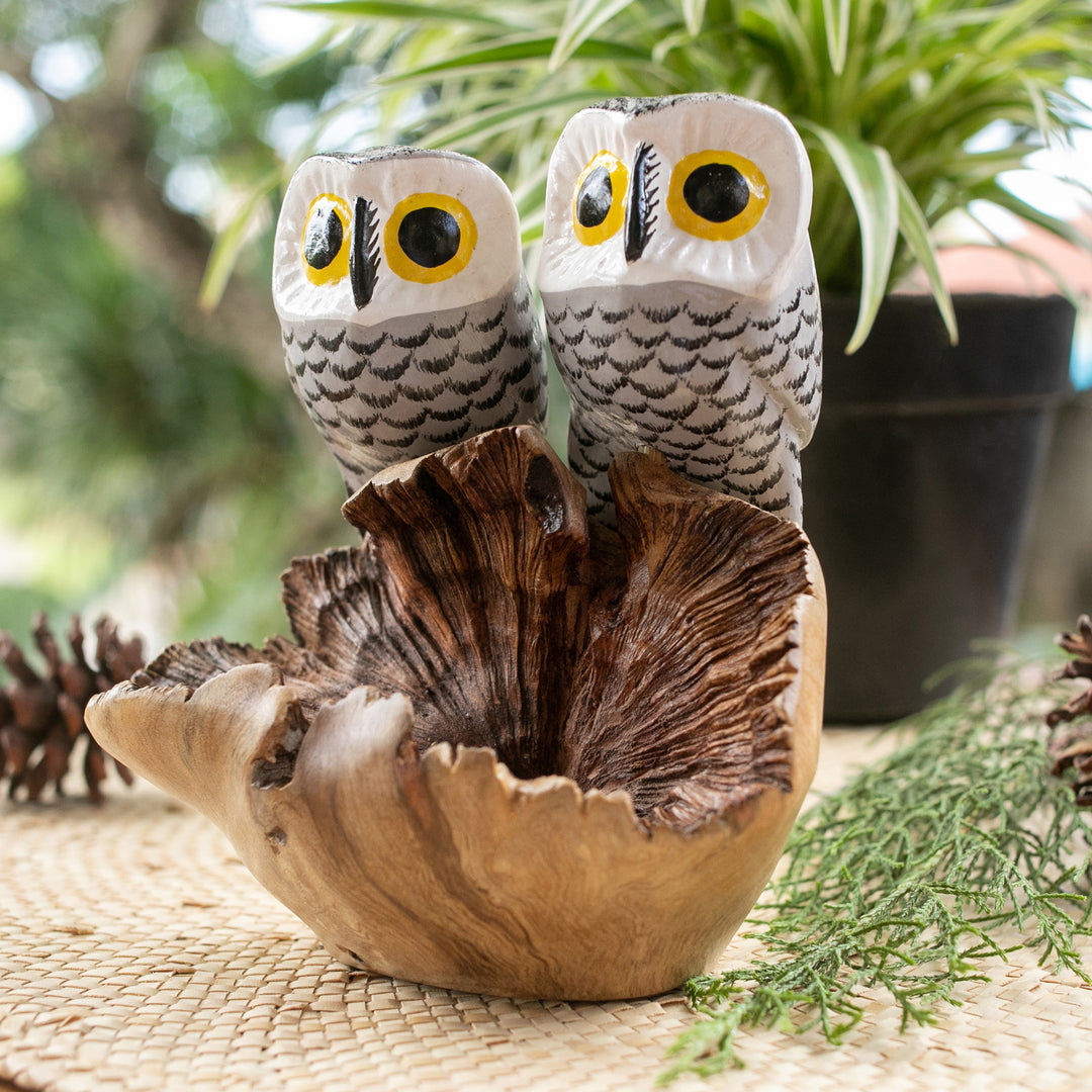 Twin Owlets