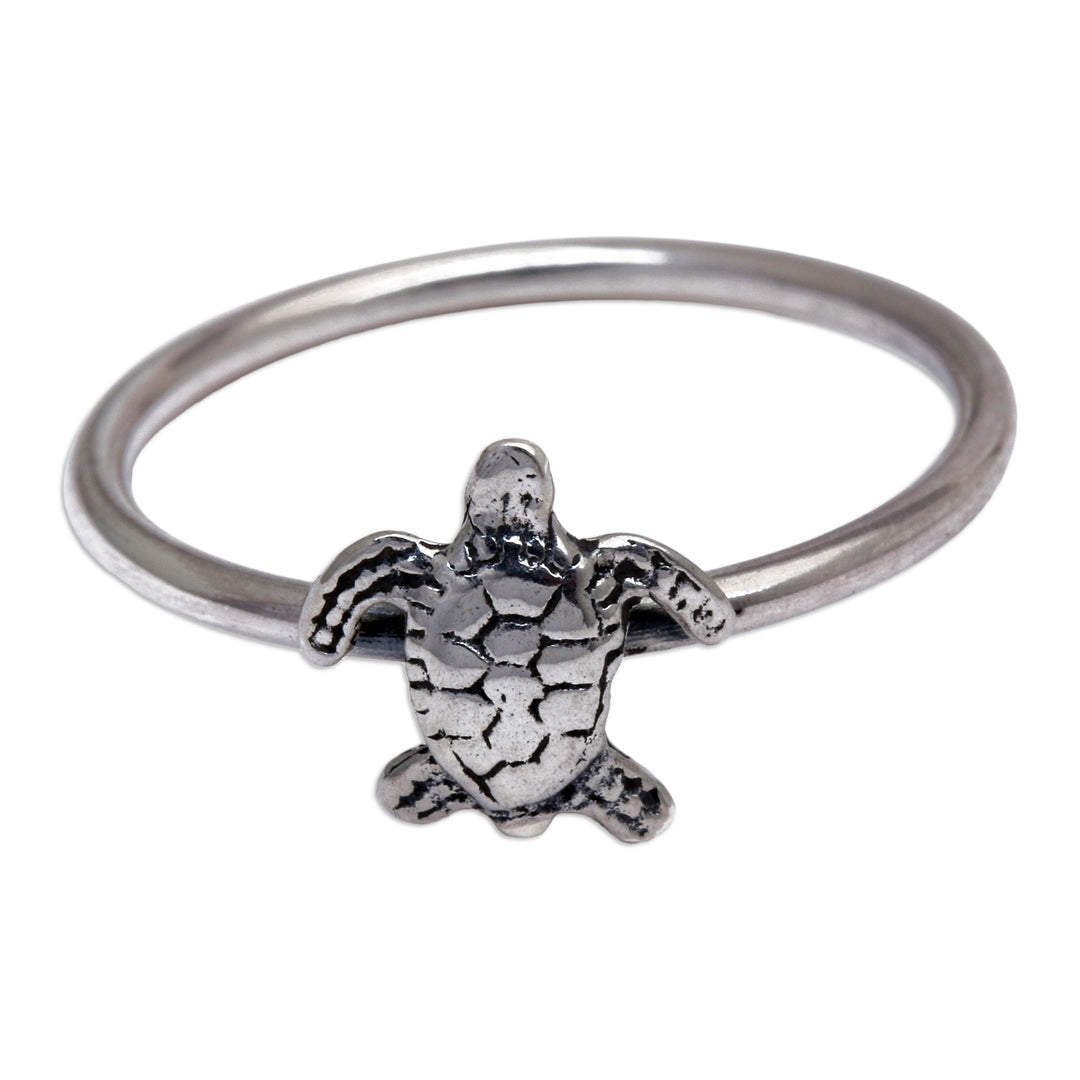 Swimming Turtle