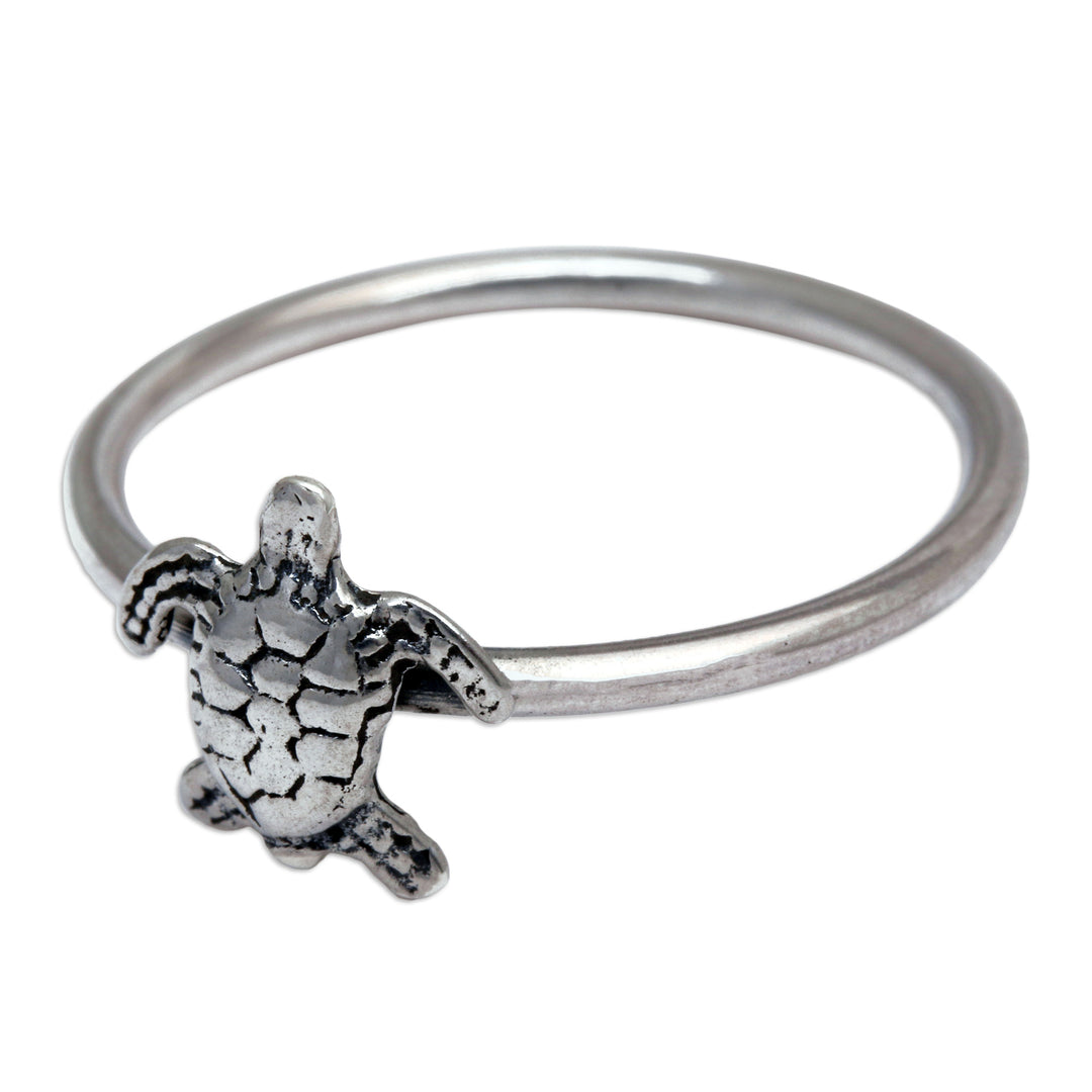 Swimming Turtle
