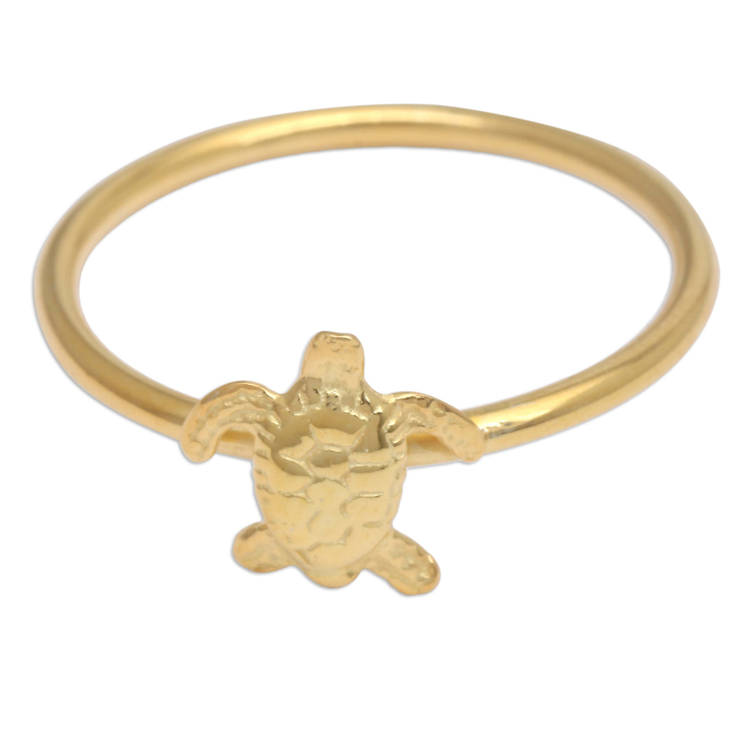 Radiant Swimming Turtle