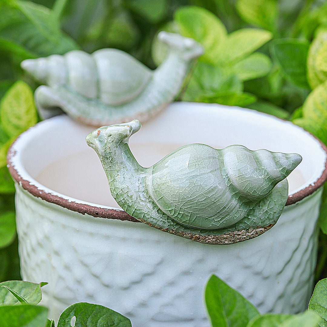 Harmonious Shells