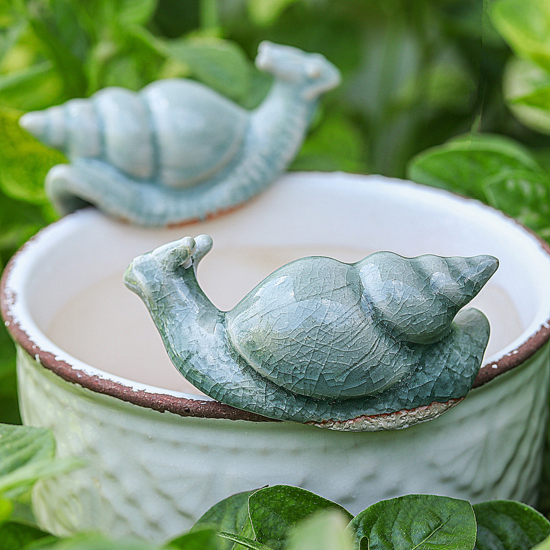 Tranquil Shells