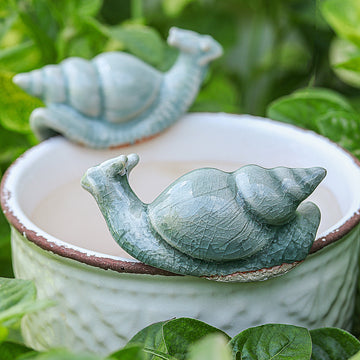 Tranquil Shells