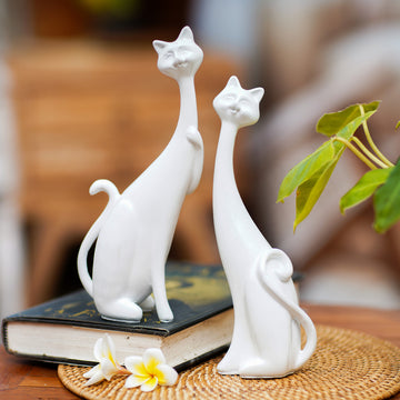 Feline Finesse
