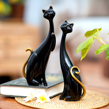 Feline Mystery