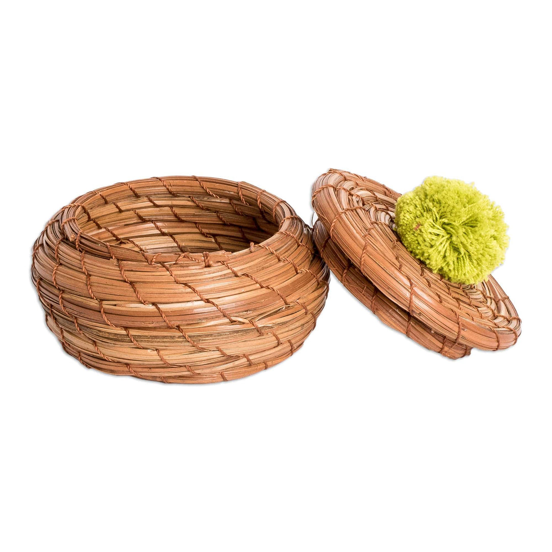 Handwoven Pine Needle Basket with Kiwi Cotton Pompom - Treasures in Kiwi
