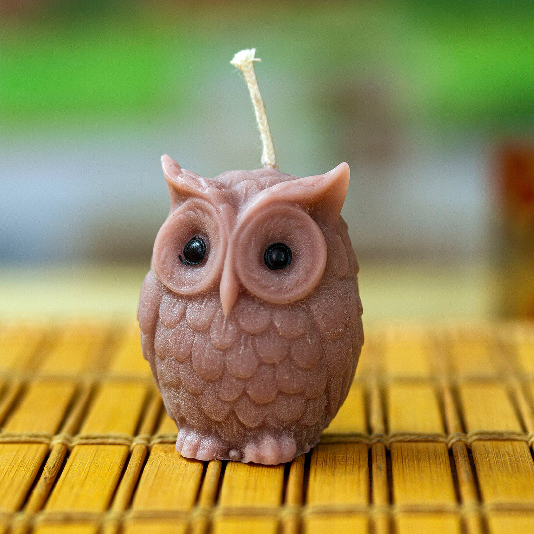 Sage Owl