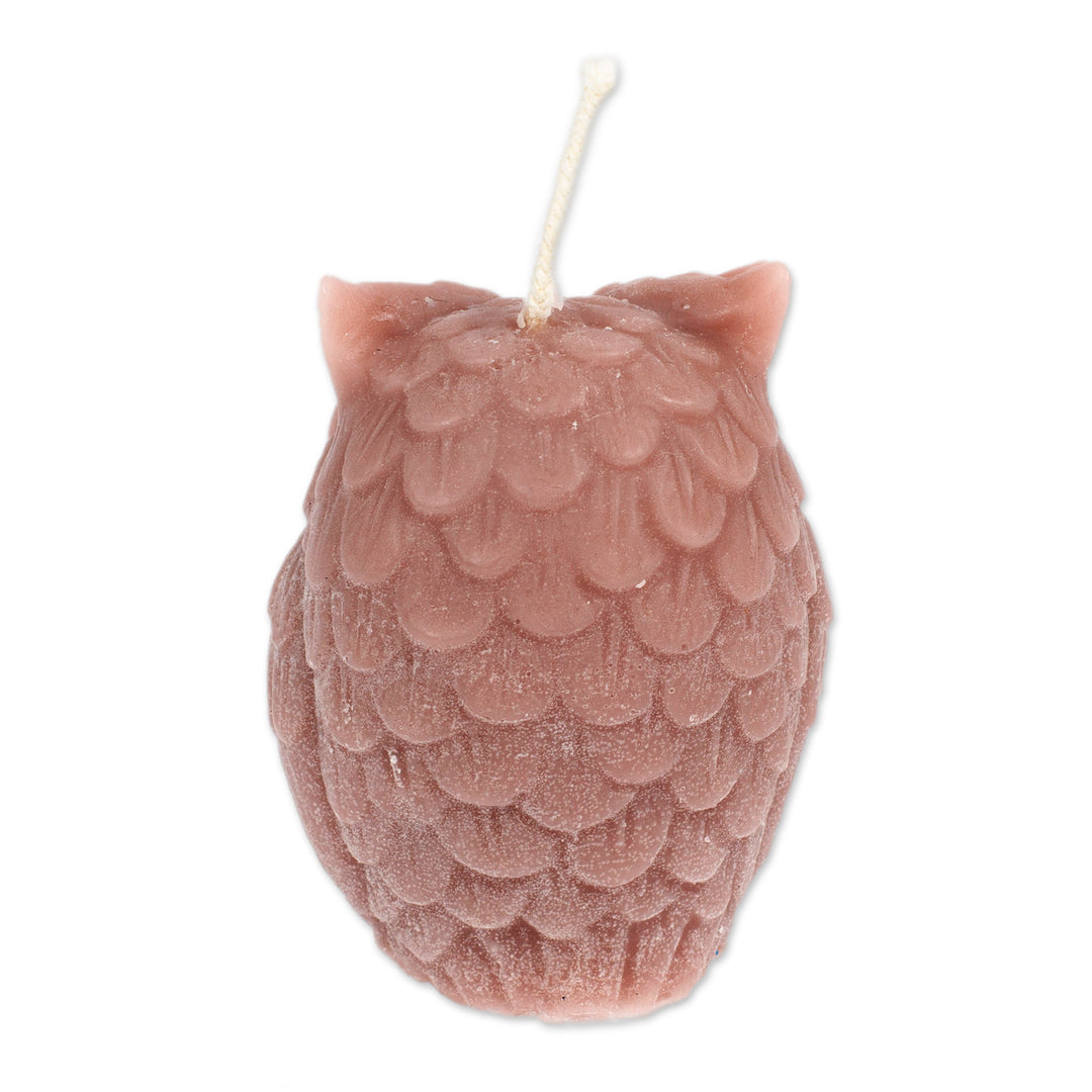 Owl-Shaped Brown Paraffin Wax Candle Handcrafted in Mexico - Sage Owl