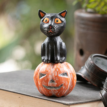 Cat on the Halloween Night