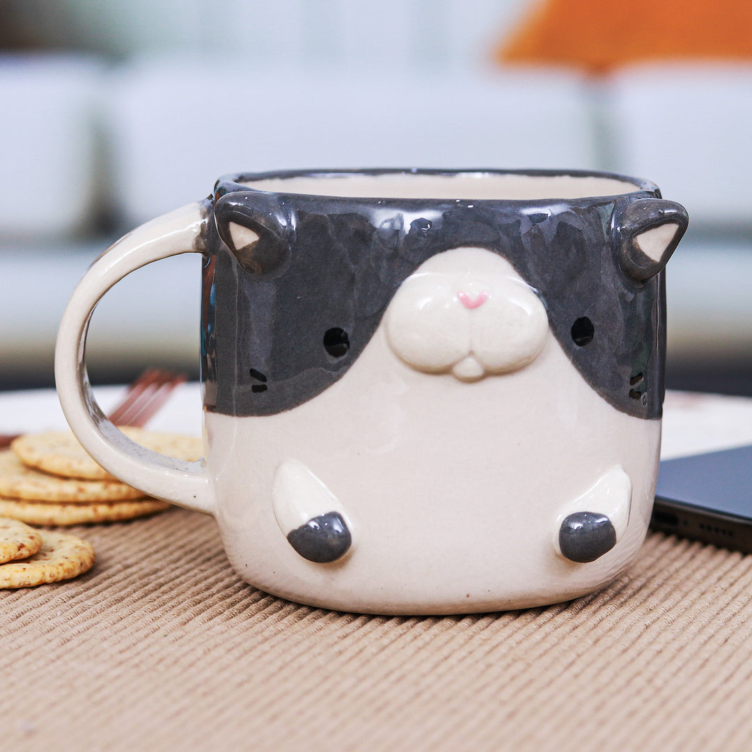 Bicolor Cat Morning