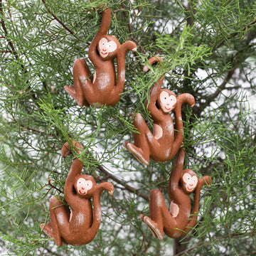 Joyful Jungle