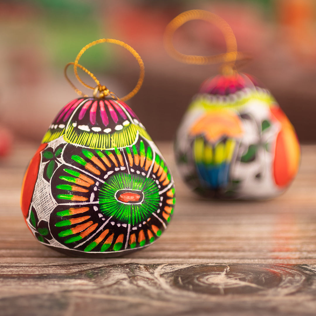 Spring-Themed Andean-Made Hand-Painted Dried Gourd Ornament - Harmonious Garden
