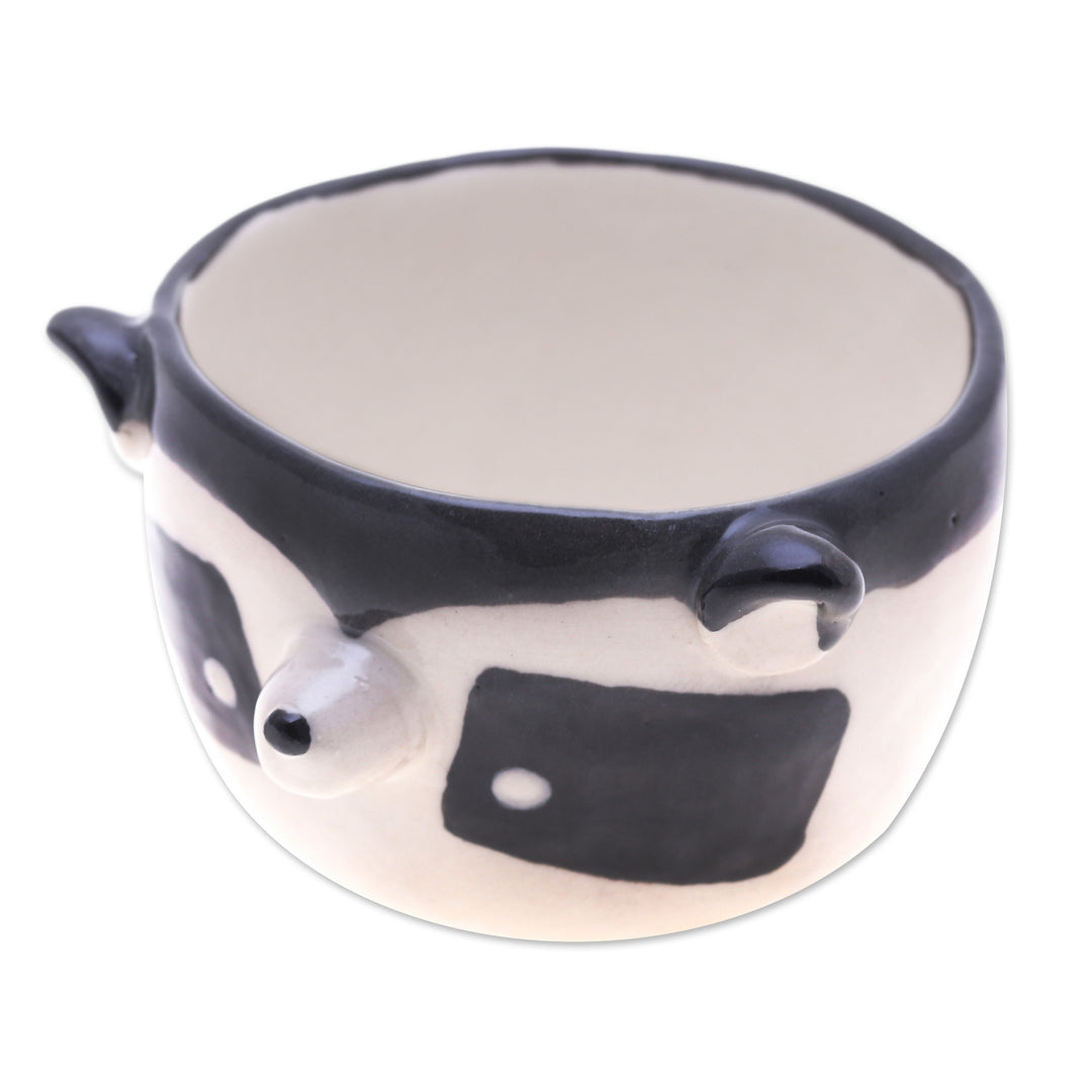 Raccoon-Themed Ceramic Mini Flower Pot and Saucer (Small) - Raccoon Spring