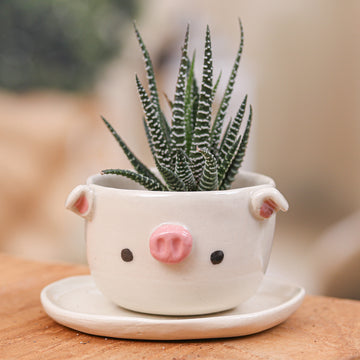 Piglet Spring