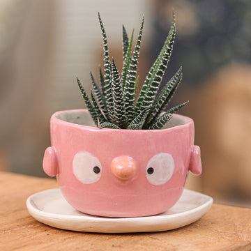 Pink Bird Spring
