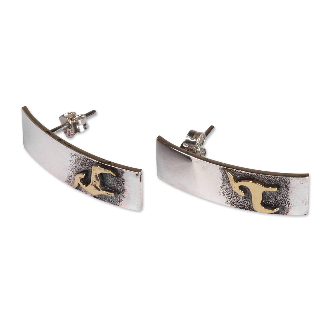 Modern Ram-Themed Sterling Silver and Brass Drop Earrings - Ram Ancestry