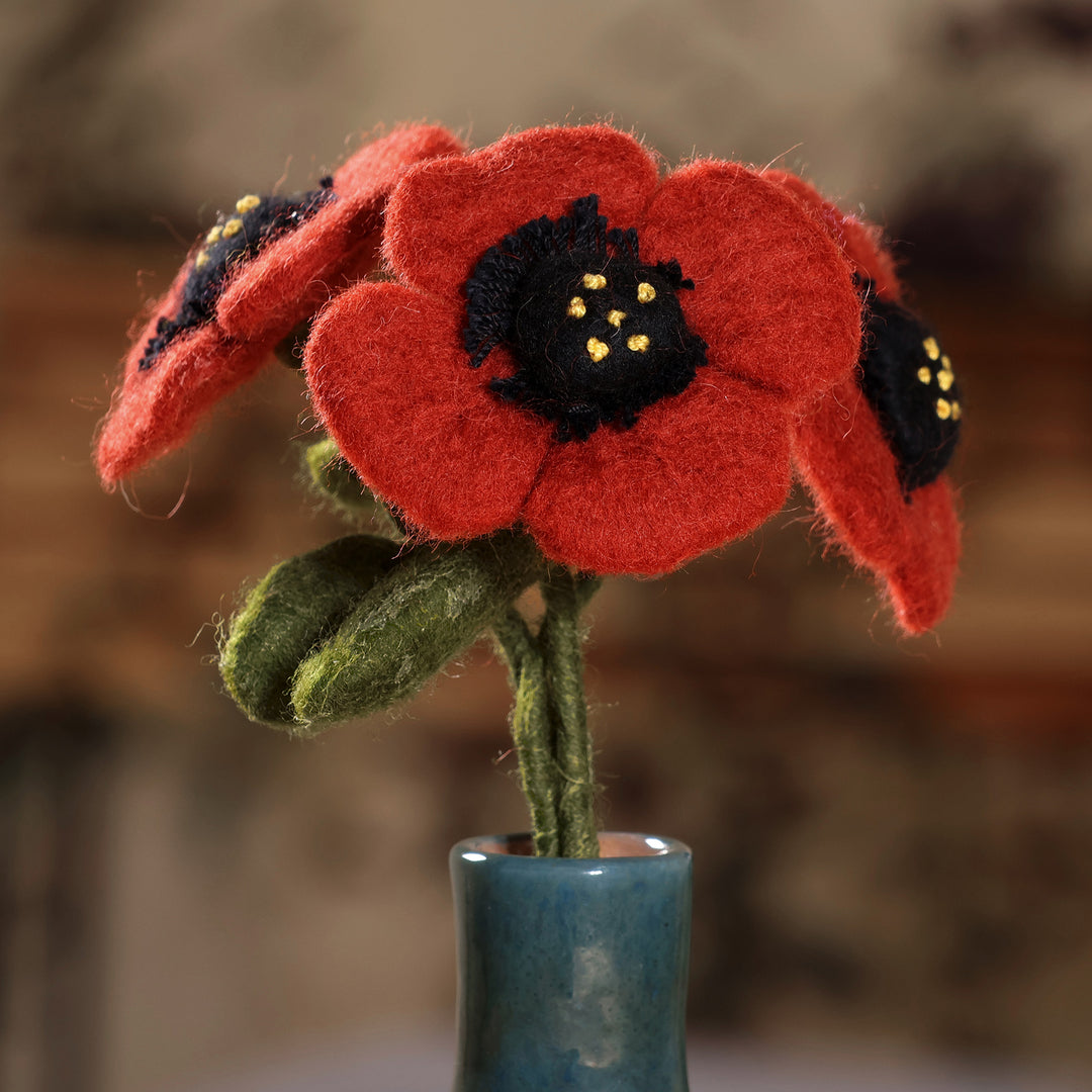 Poppy Illusion