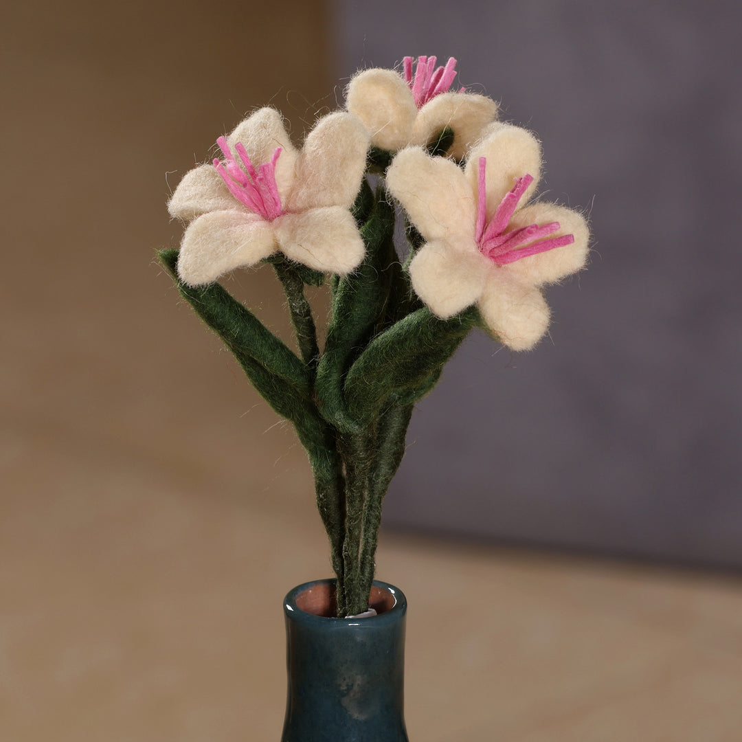 Lily Illusion