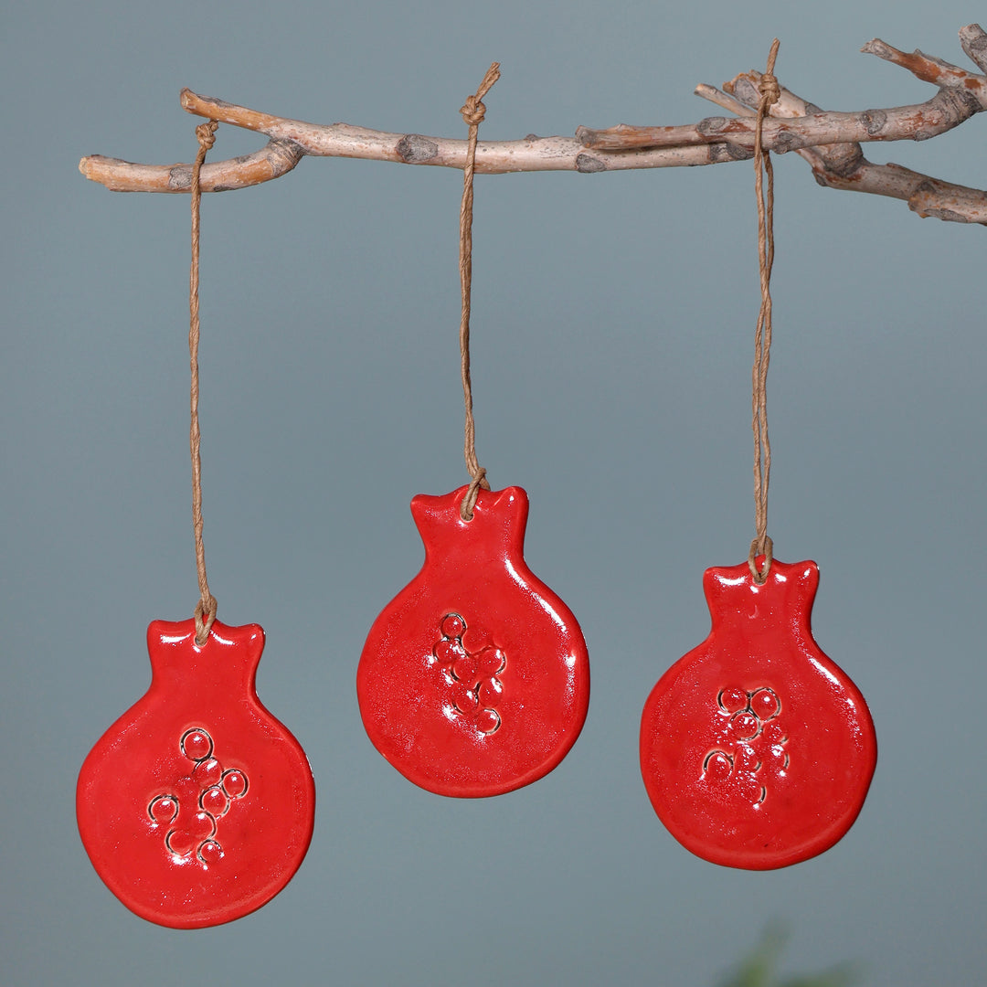 Pomegranate Holiday