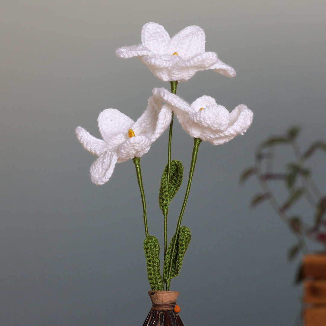 Lily Spring