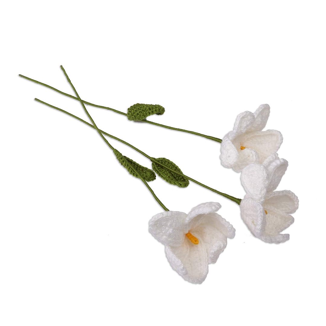 Fair Trade Crocheted 3-Piece White Lily Home Accent Set - Lily Spring