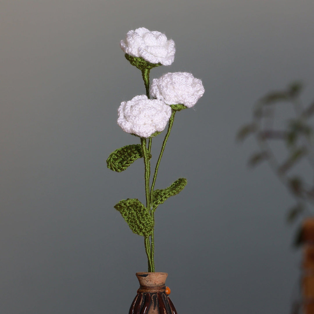 White Rose Spring