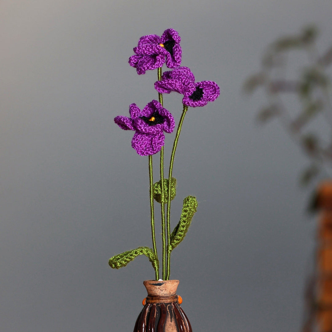 Purple Pansy Spring