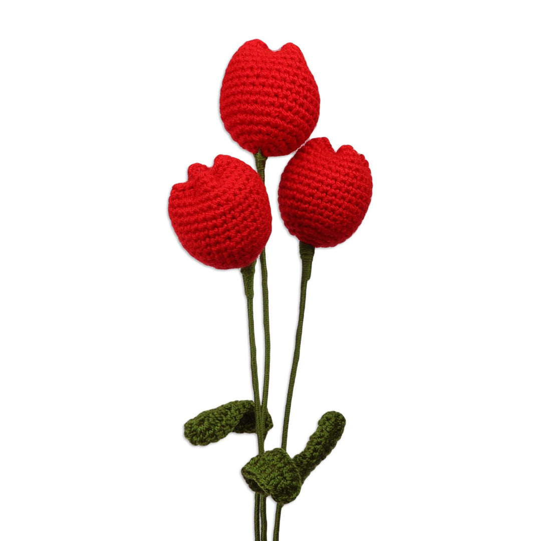 Crocheted 3-Piece Red Tulip Home Accent Set Made in Armenia - Tulip Spring