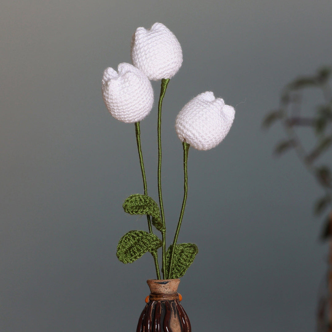 White Tulip Spring