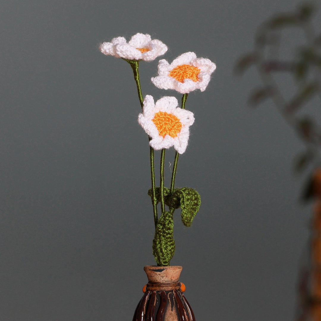 White Daisy Spring