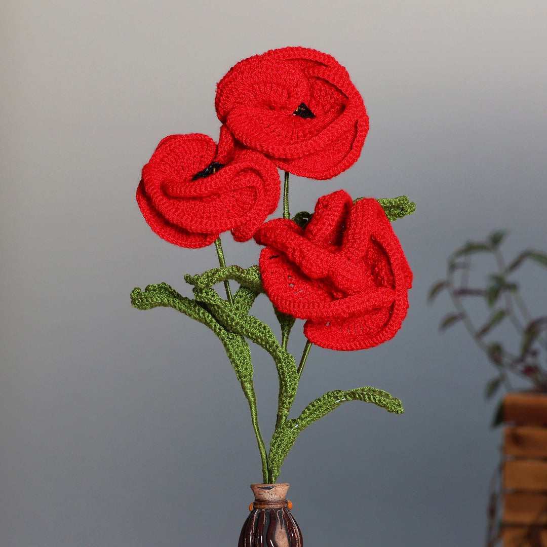 Poppy Nature