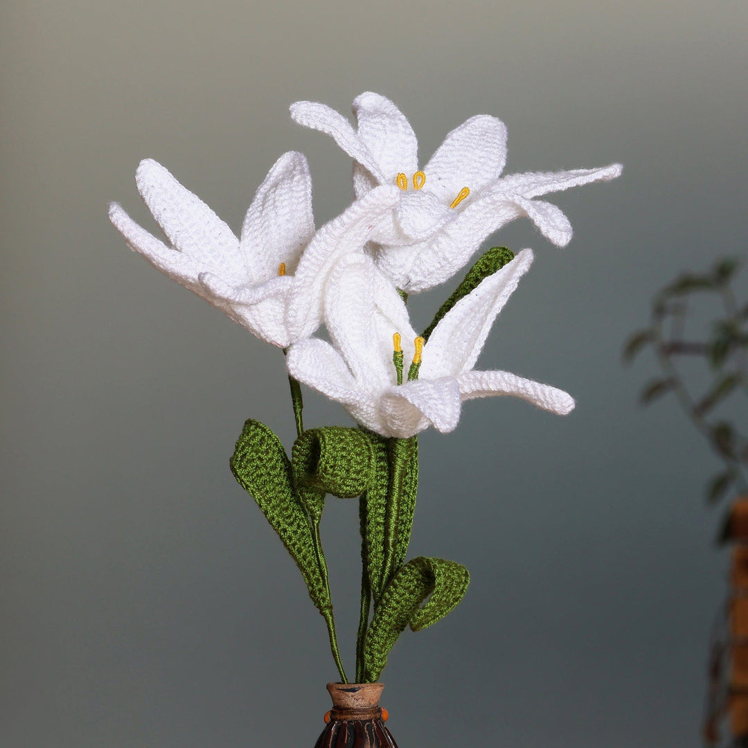 Lily Nature