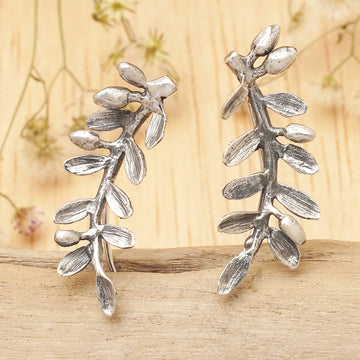 Orchid Leaves