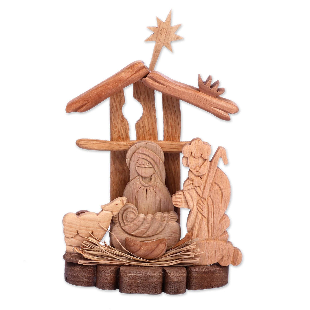 Armenian-Made Wood Nativity Sculpture in a Polished Finish - One Miracle
