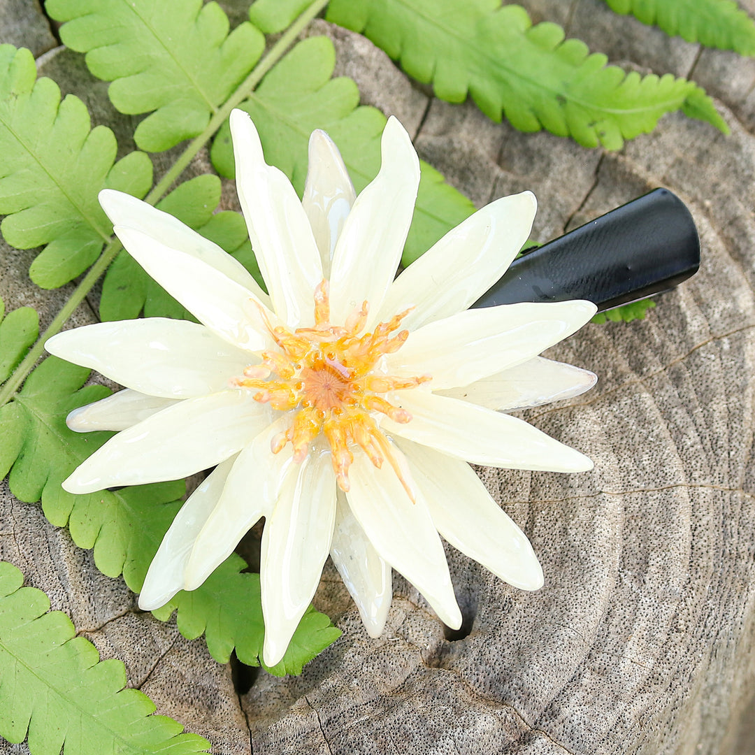 Chic Ivory Water Lily