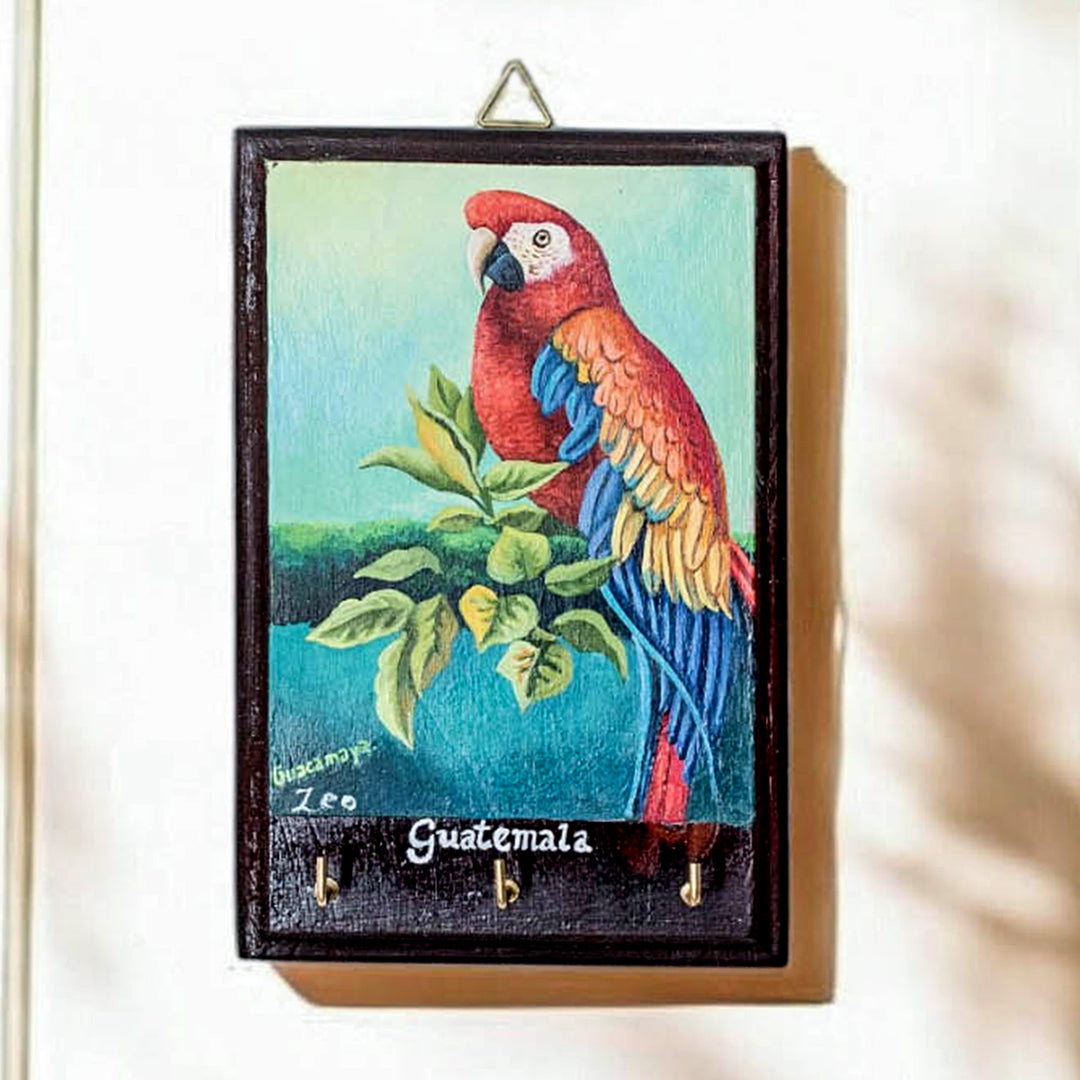 The Macaw