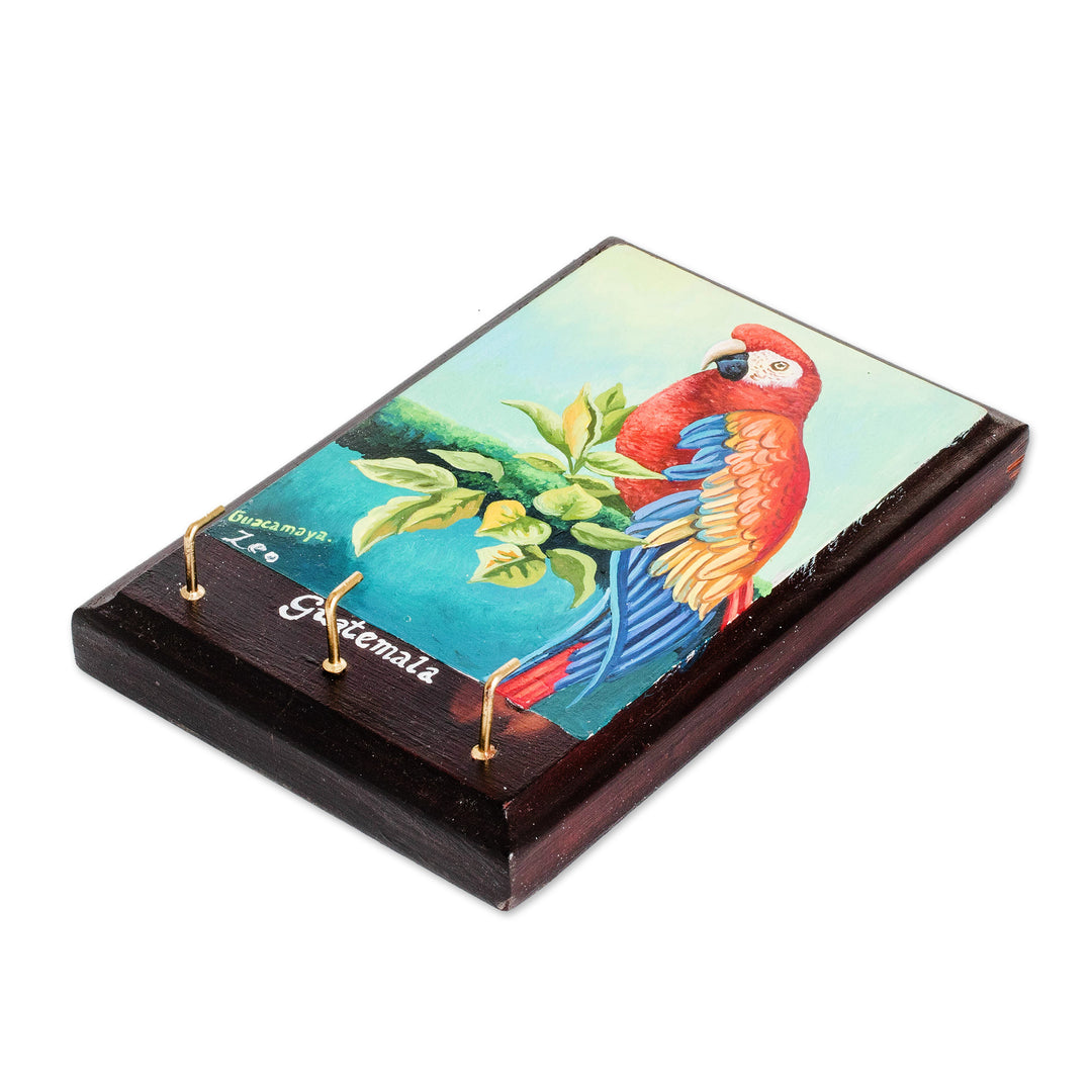Artisan-Made Cedarwood Key Holder with Macaw Bird Portrait - The Macaw