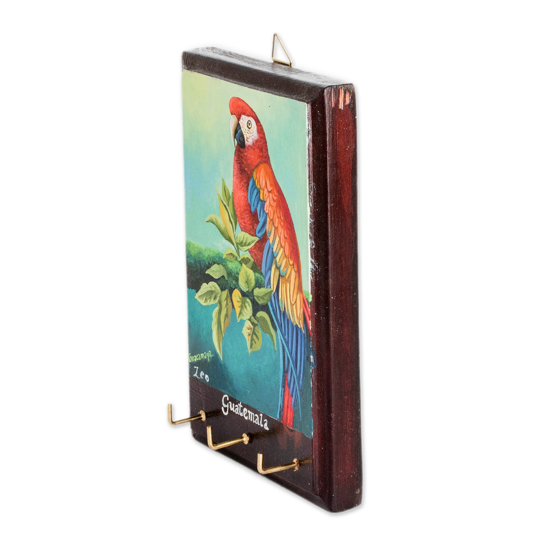 Artisan-Made Cedarwood Key Holder with Macaw Bird Portrait - The Macaw
