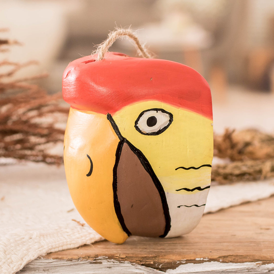 Beautiful BirdofParadise