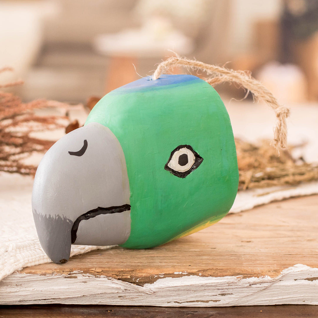 Playful Parrot