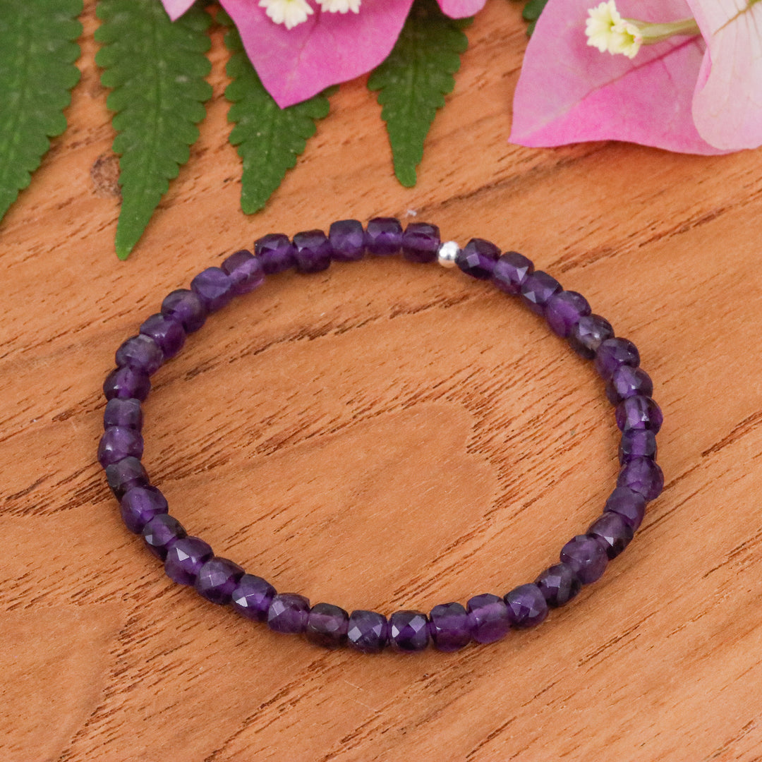 Wise Colors of Chiang Mai