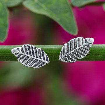 Classic Leaves