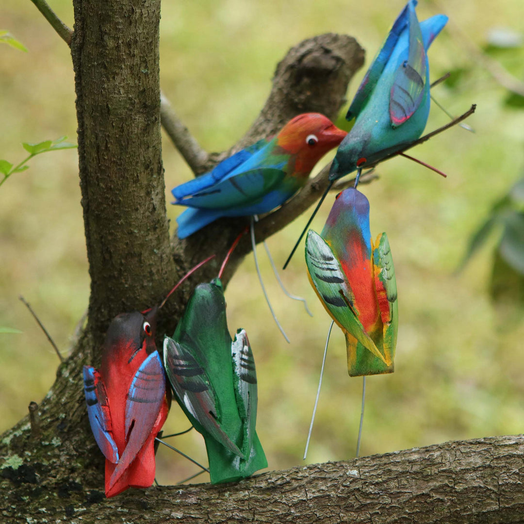 Natural Hummingbirds