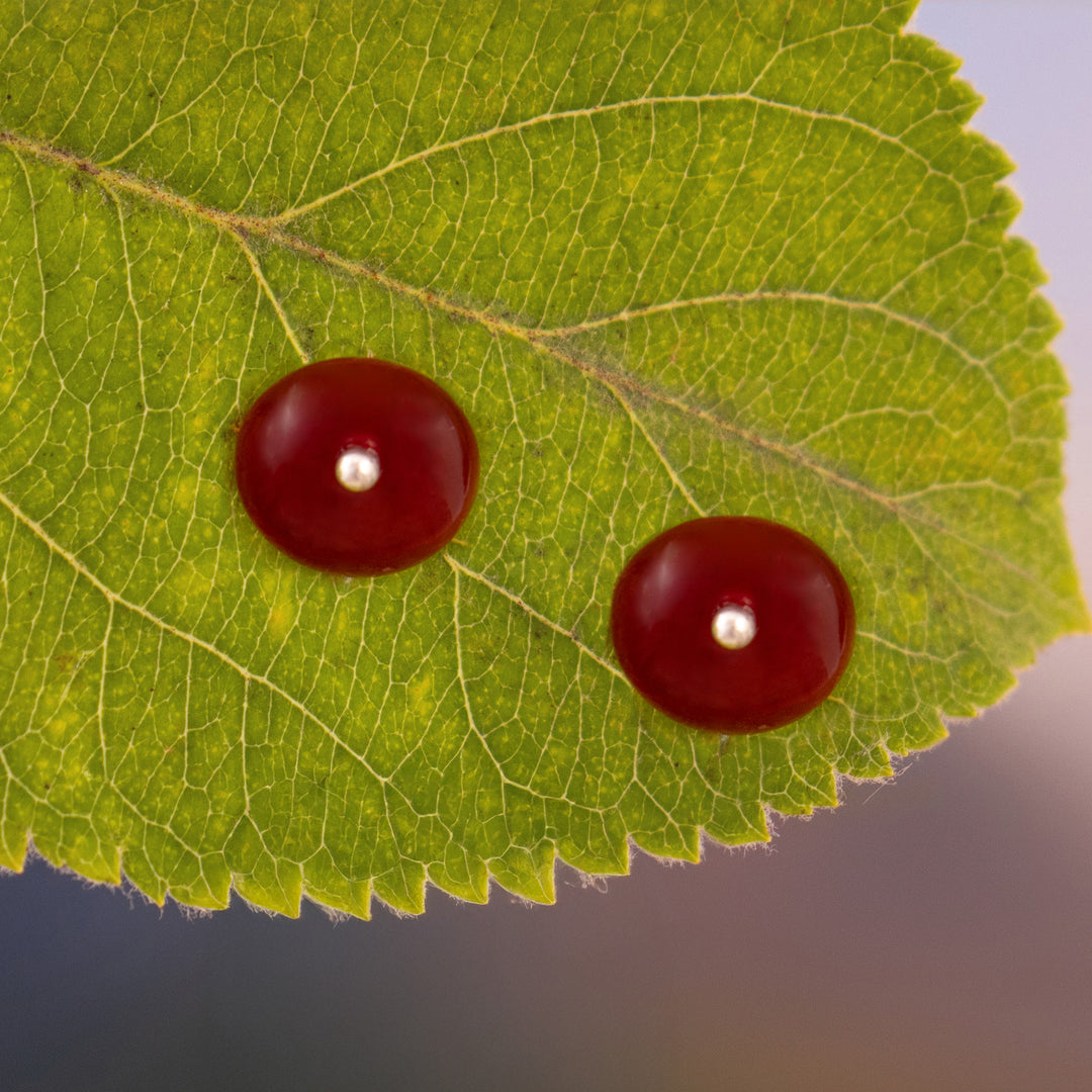 Sunset in the Valley