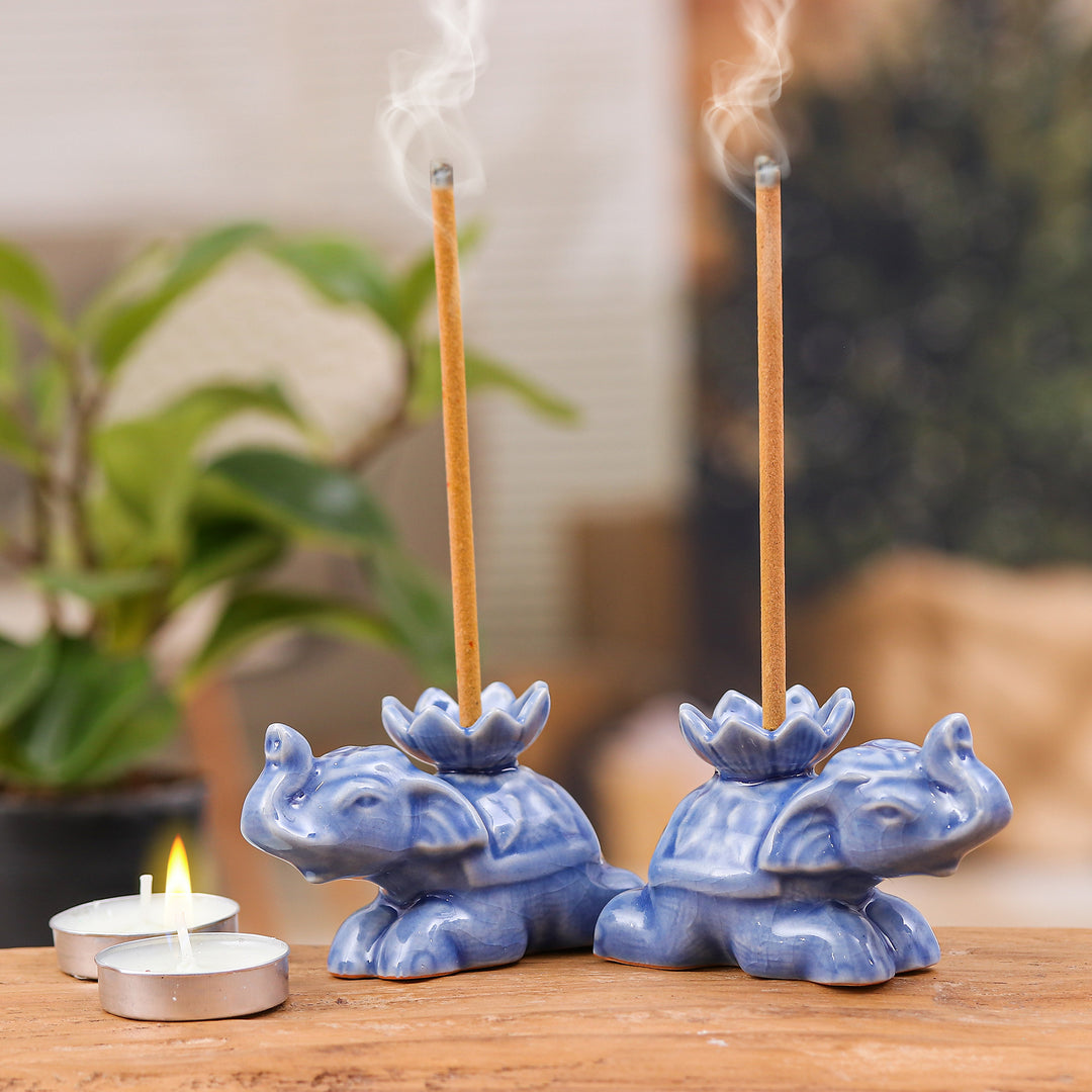 Blue Pachyderm Beauty