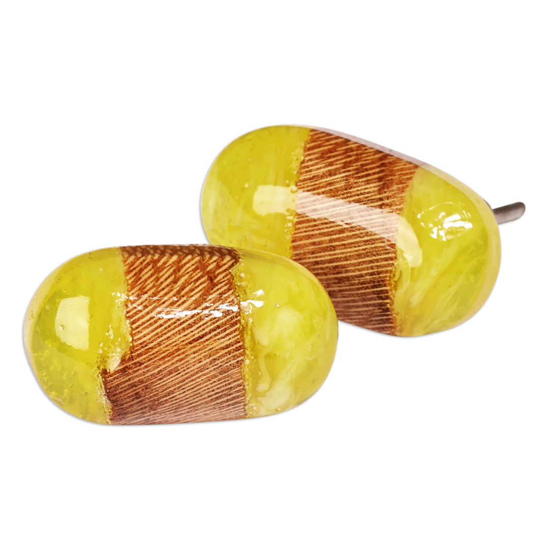 Handcrafted Lemon and Brown Apricot Wood Button Earrings - Compact Lemon