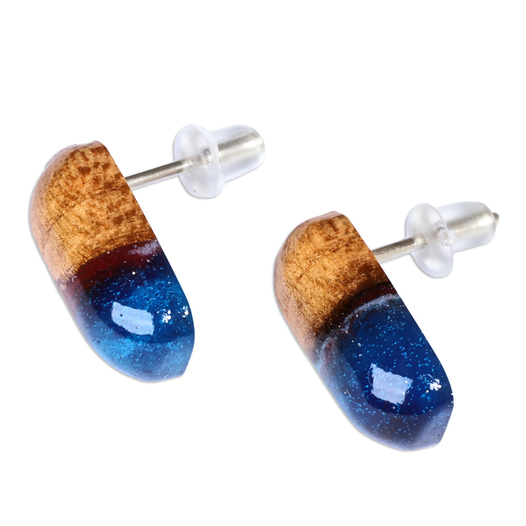 Handmade Blue and Brown Apricot Wood Oblong Button Earrings - Little Spell