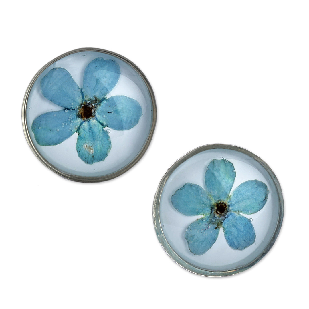 Round Resin Coated Forget-Me-Not Flower Button Earrings - Serene Blossom